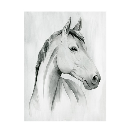 Grace Popp 'Silver Gelding I' Canvas Art, 35x47